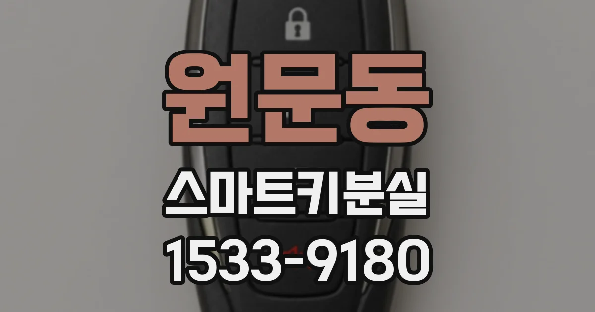 원문동 스마트키분실