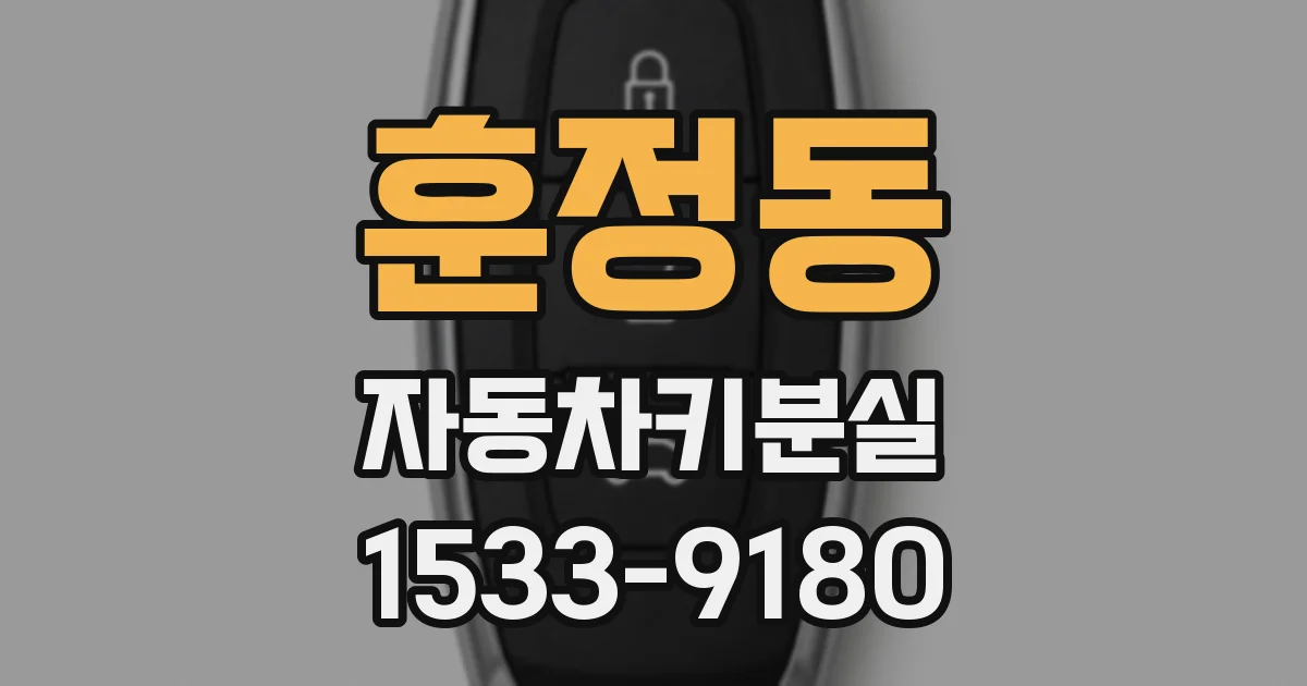 훈정동 자동차키분실
