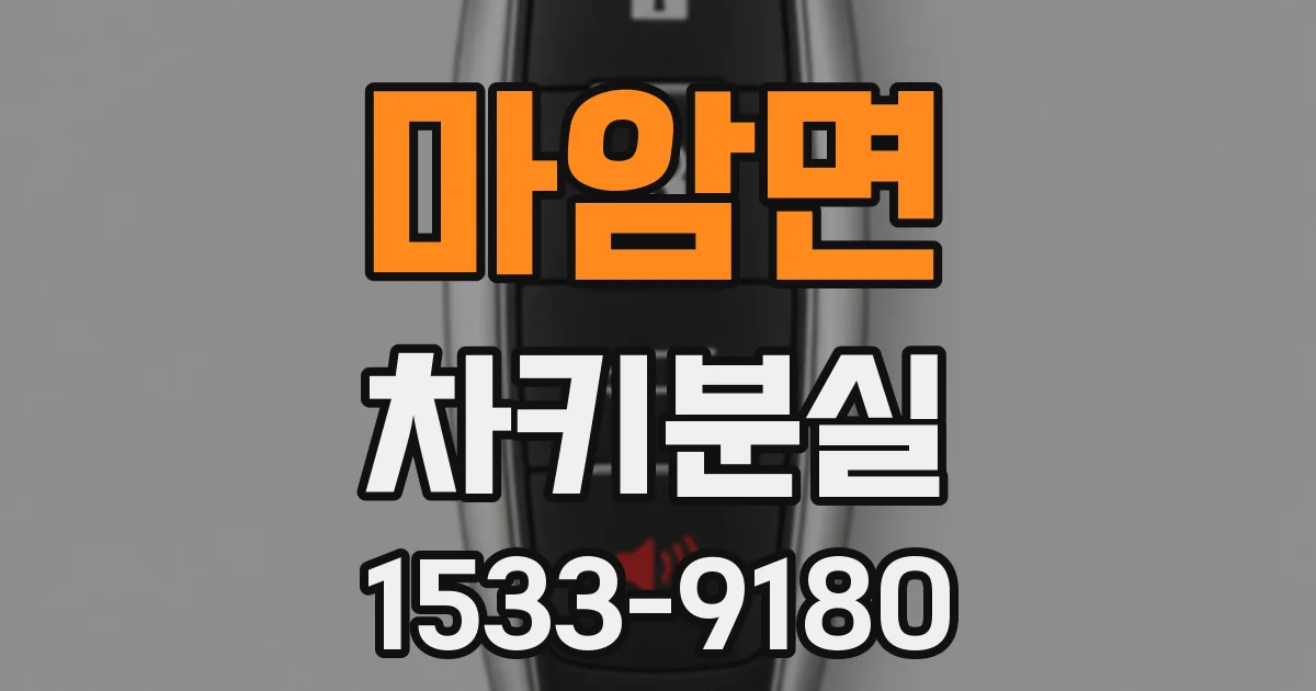 마암면 차키분실