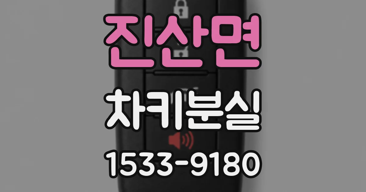 진산면 차키분실