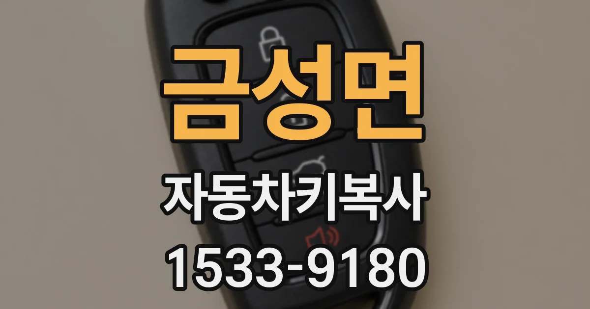 금성면 자동차키복사