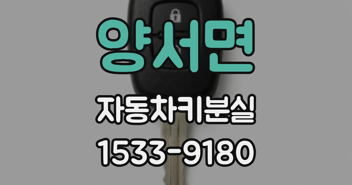 양서면 자동차키분실