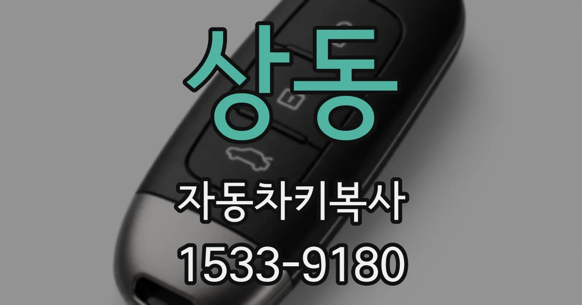 상동 자동차키복사