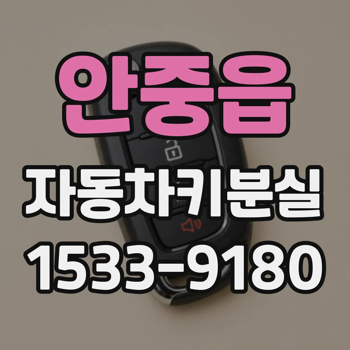 안중읍 자동차키분실