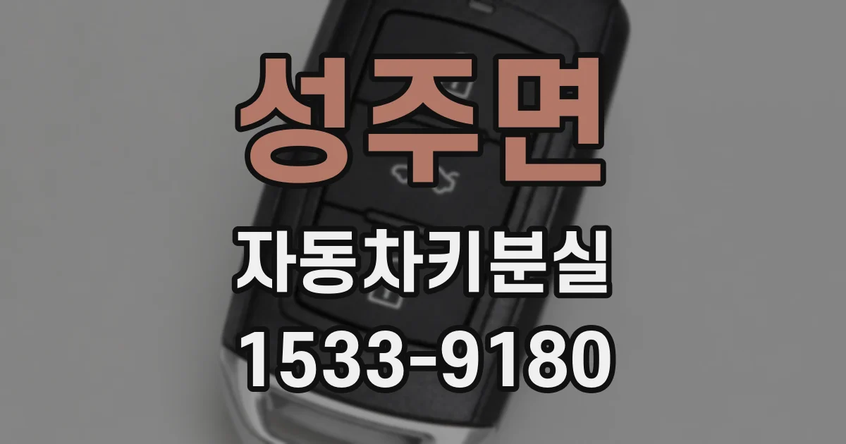 성주면 자동차키분실