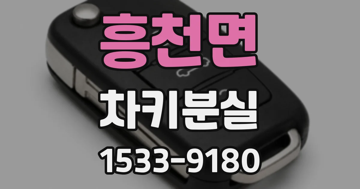 흥천면 차키분실