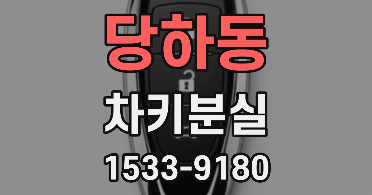 당하동 차키분실