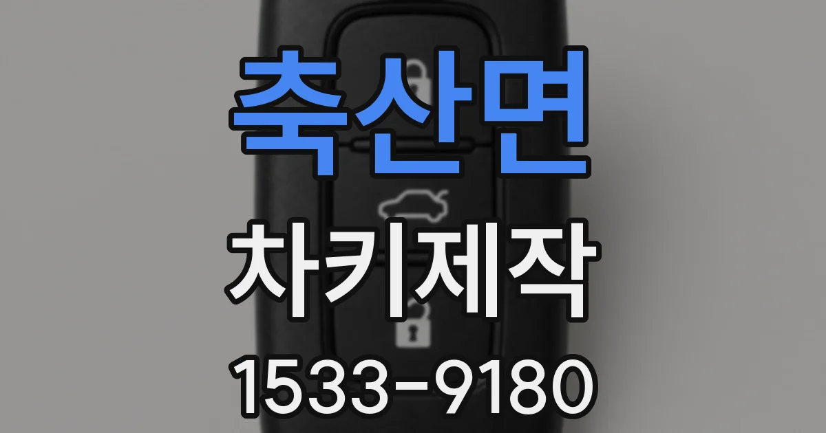 축산면 차키제작