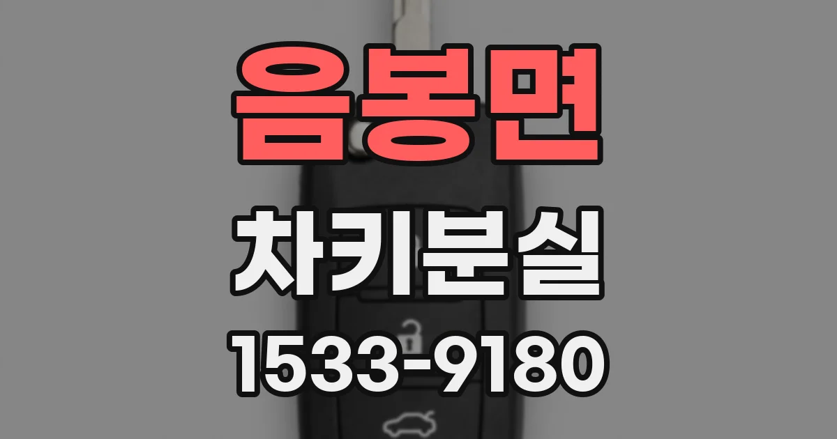 음봉면 차키분실