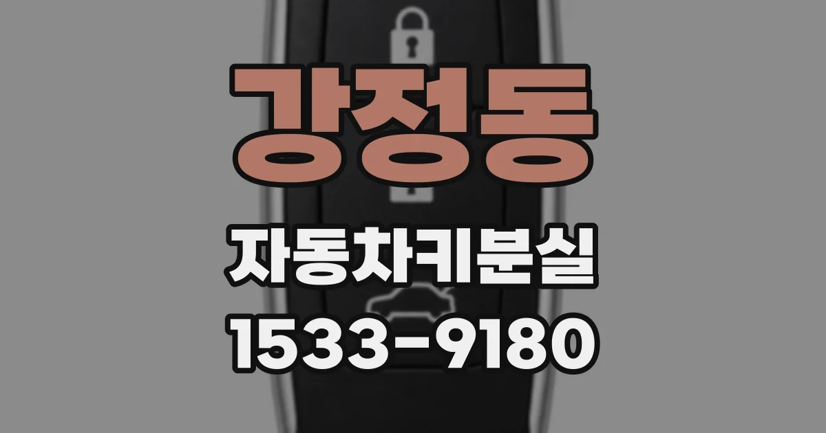 강정동 자동차키분실