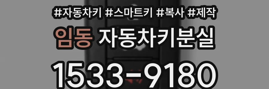 임동 자동차키분실
