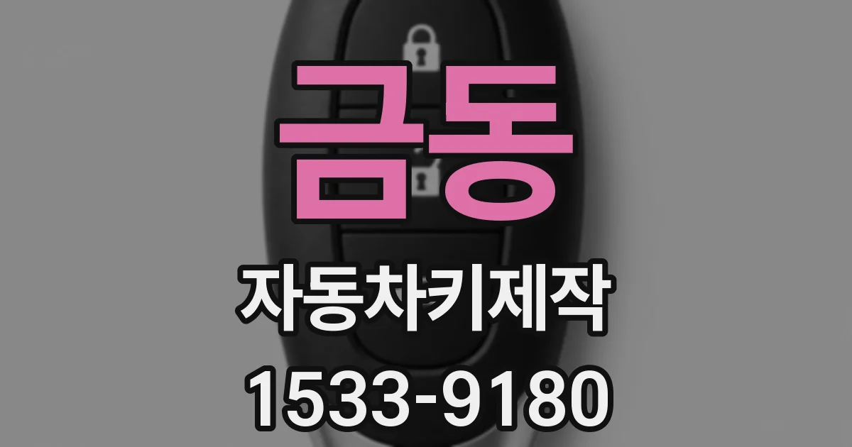 금동 자동차키제작
