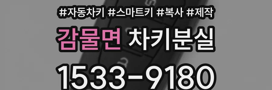 감물면 차키분실