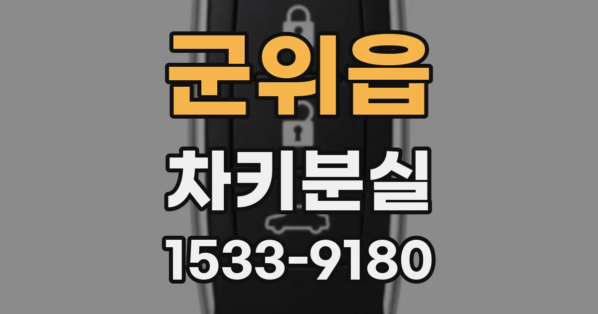 군위읍 차키분실