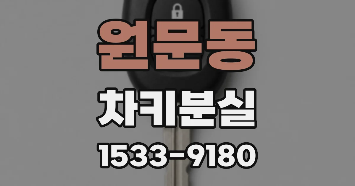 원문동 차키분실