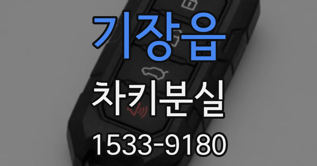 기장읍 차키분실
