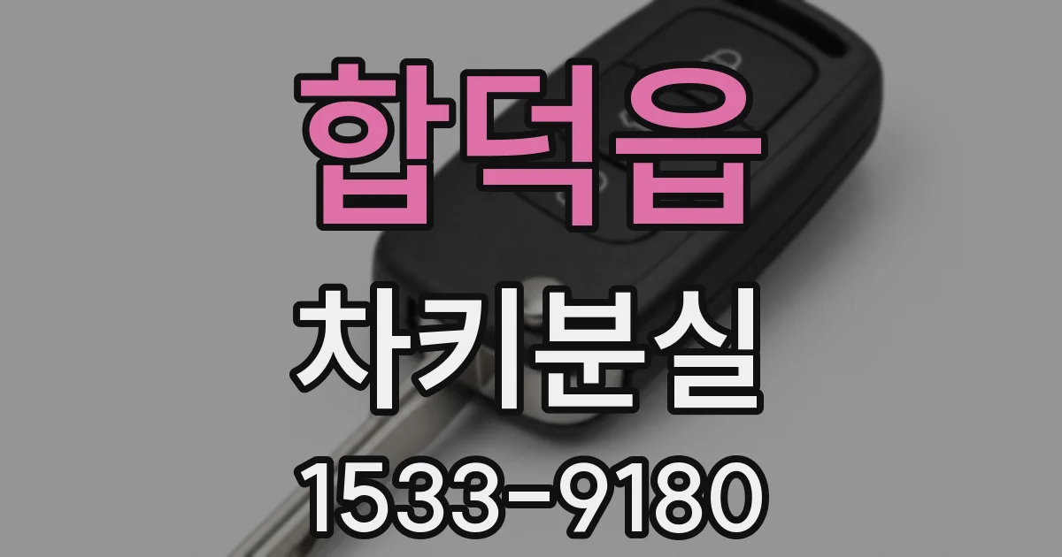 합덕읍 차키분실