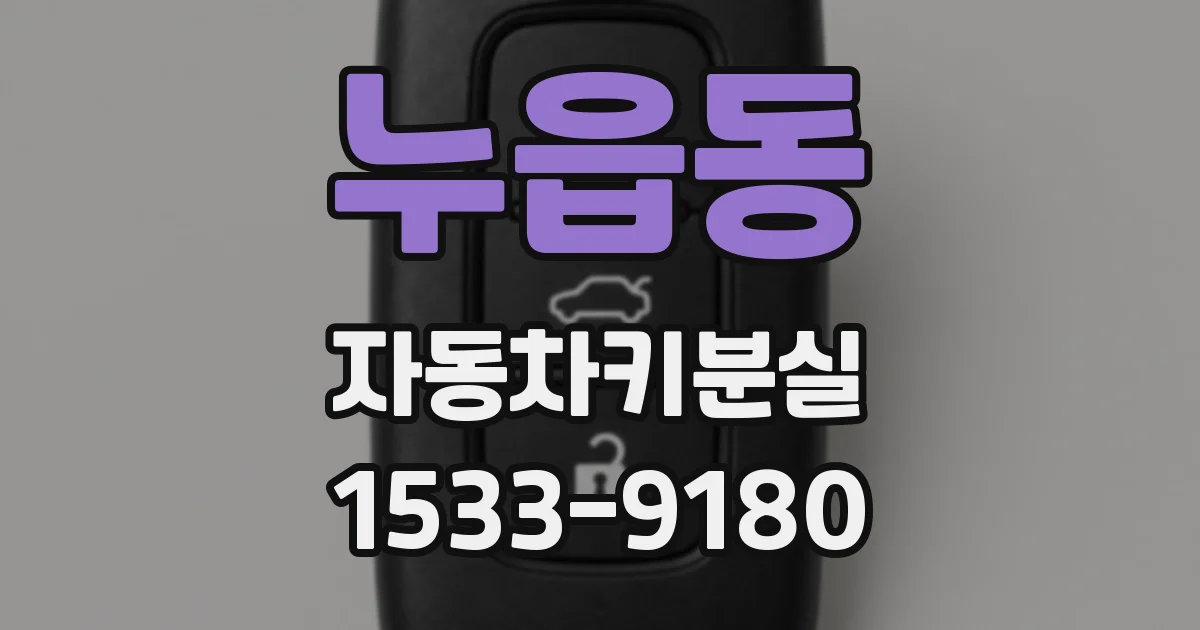 누읍동 자동차키분실