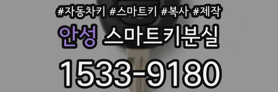 안성 스마트키분실