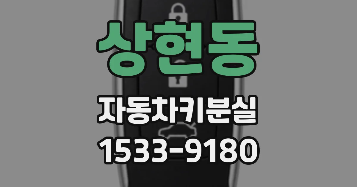 상현동 자동차키분실