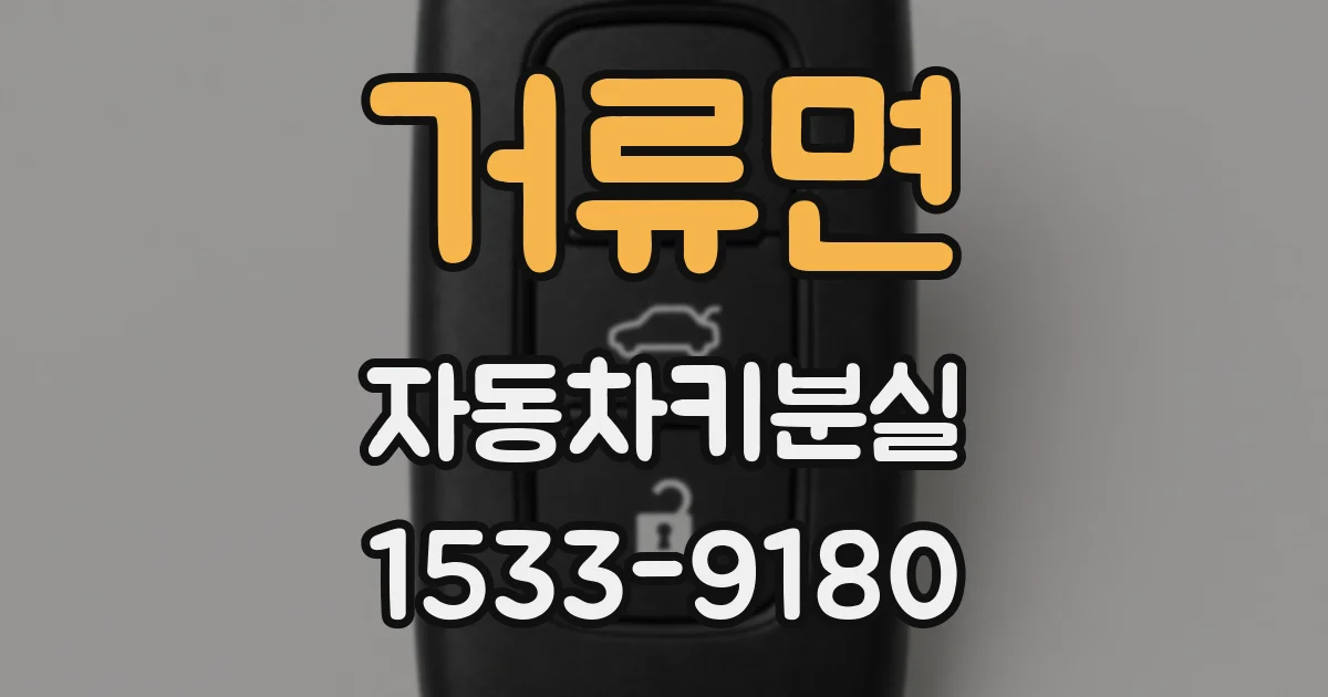 거류면 자동차키분실