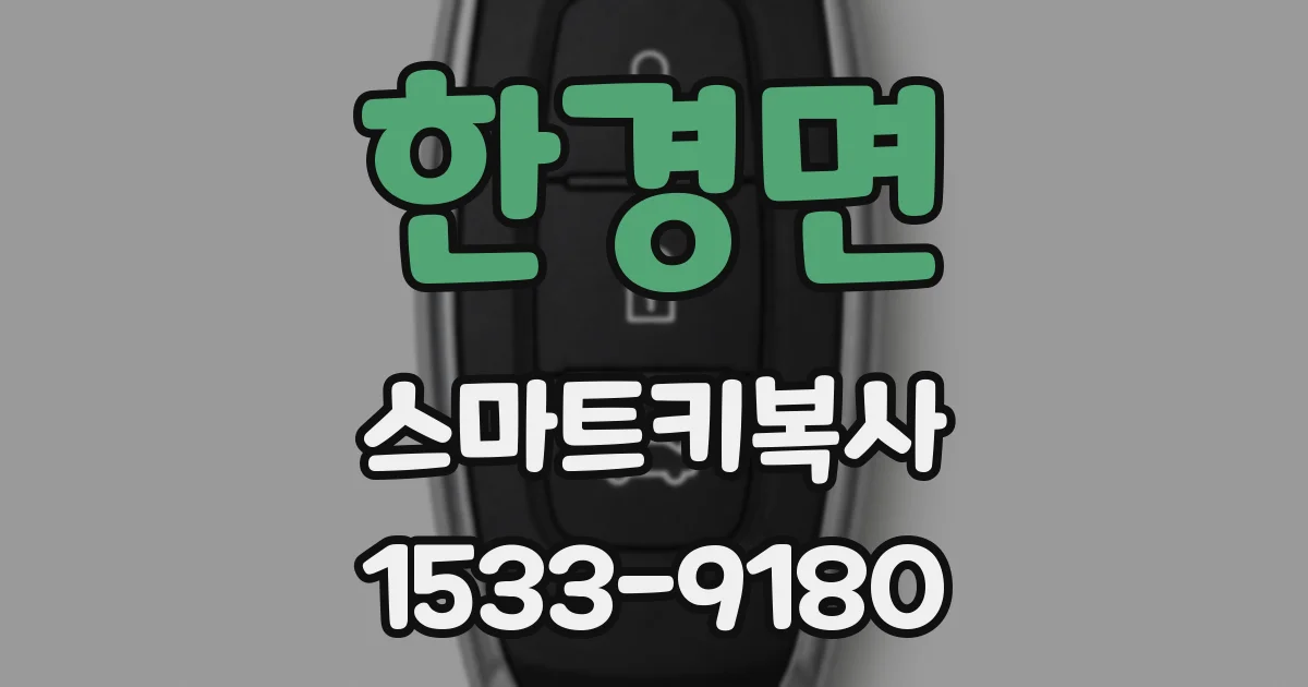 한경면 스마트키복사