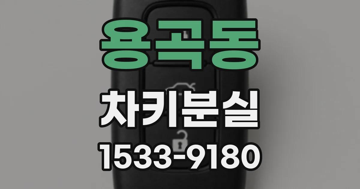 용곡동 차키분실