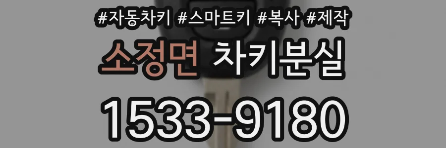 소정면 차키분실