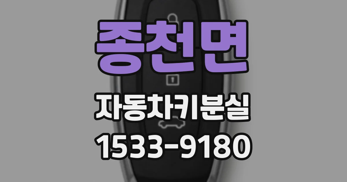 종천면 자동차키분실