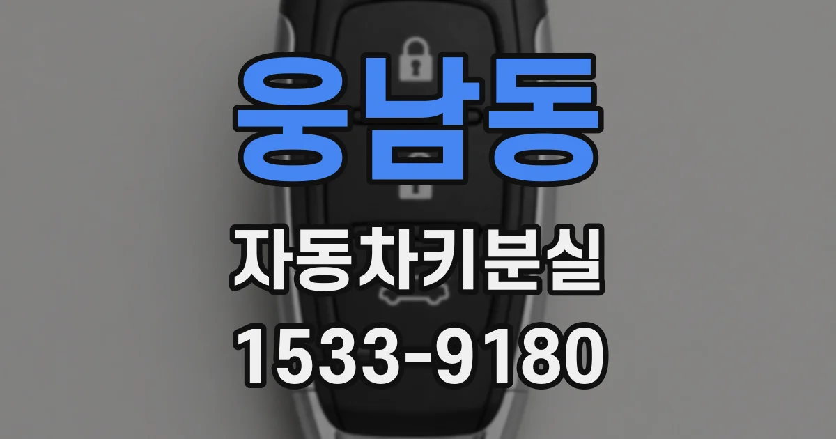 웅남동 자동차키분실