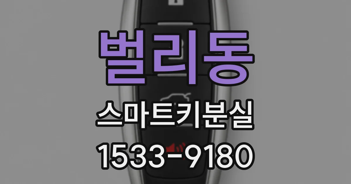 벌리동 스마트키분실