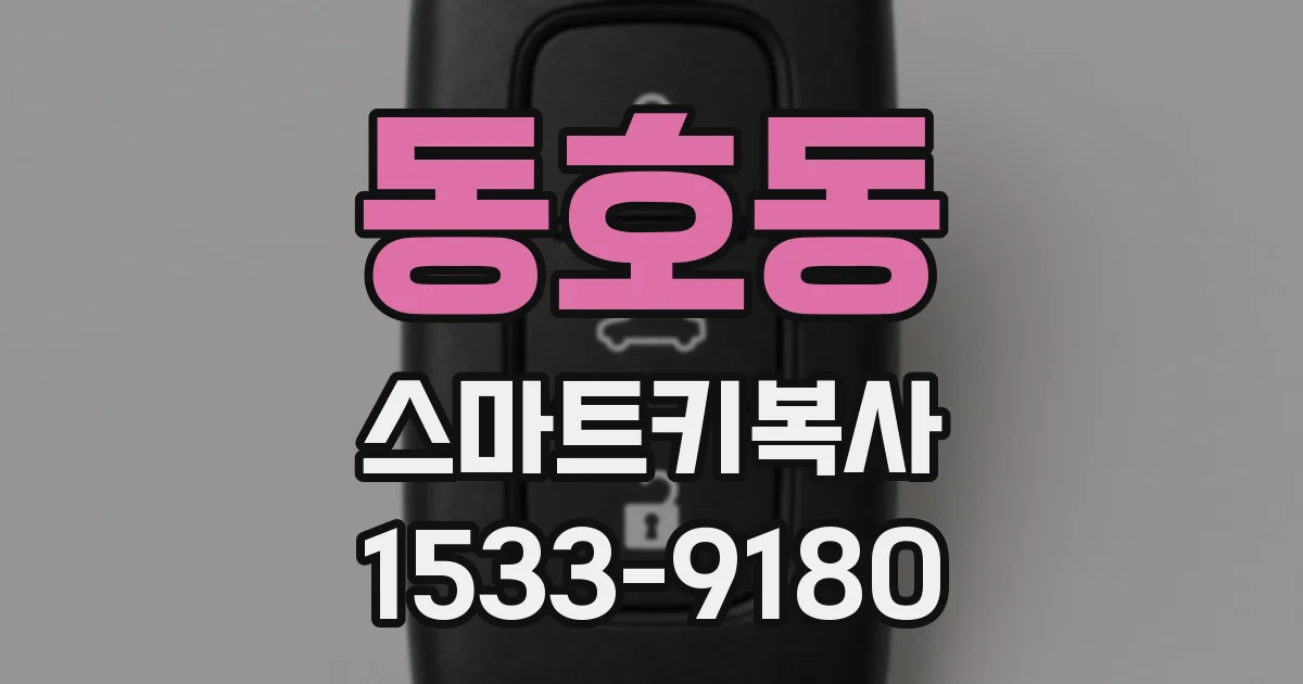 동호동 스마트키복사