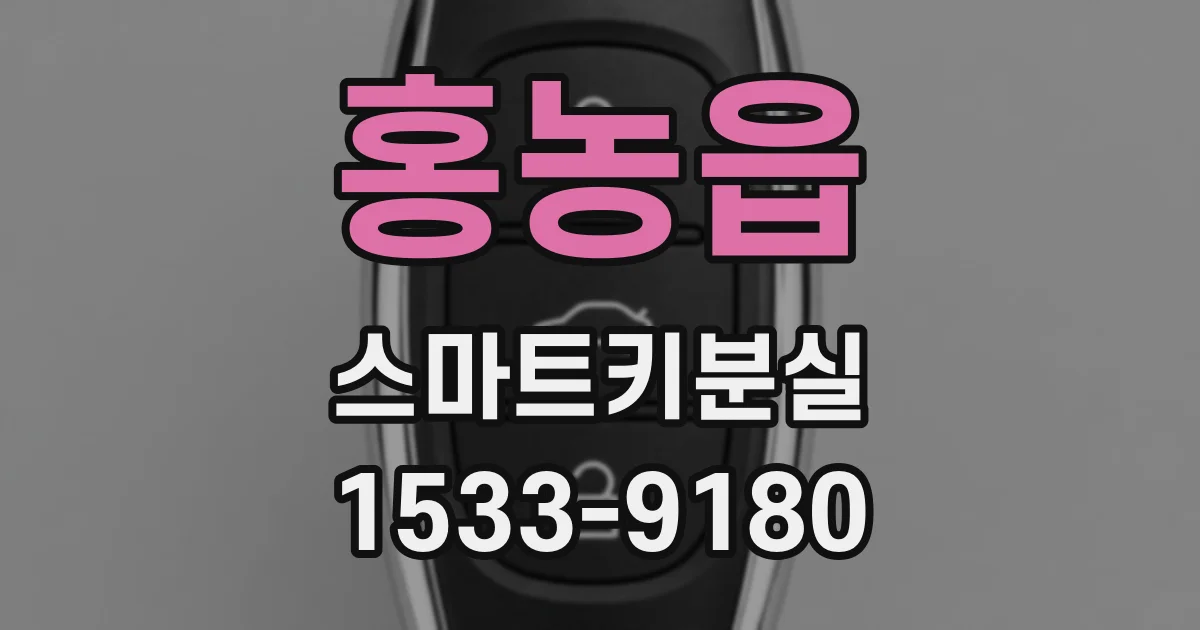 홍농읍 스마트키분실