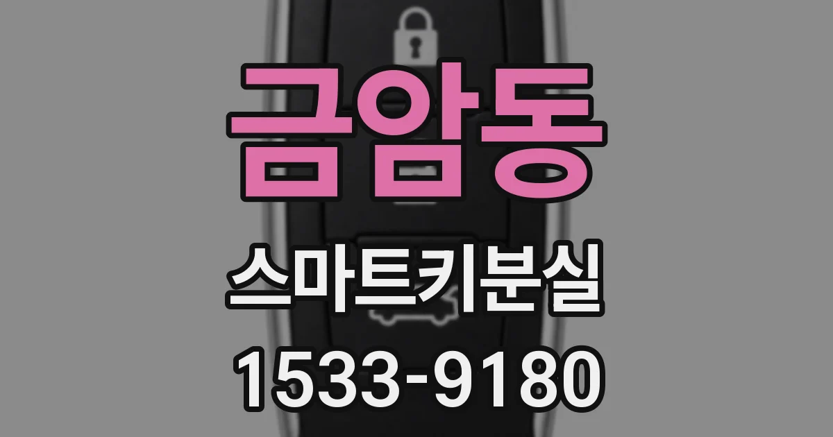 금암동 스마트키분실