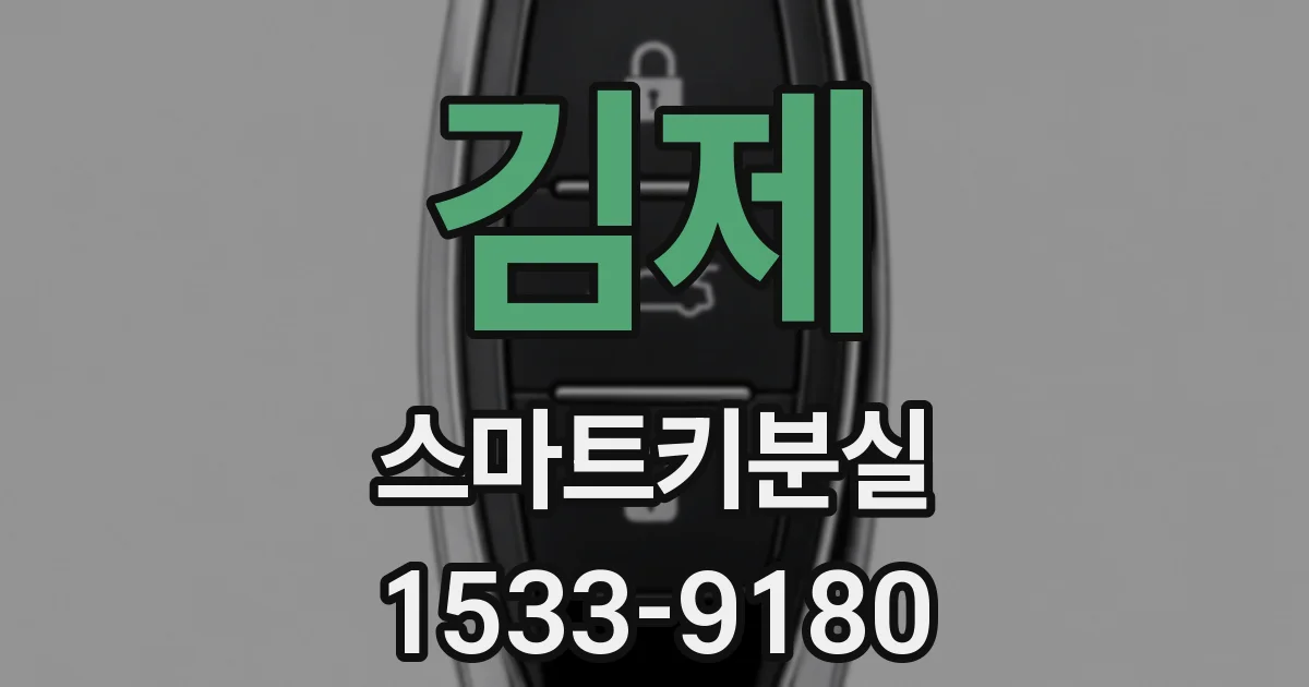 김제 스마트키분실