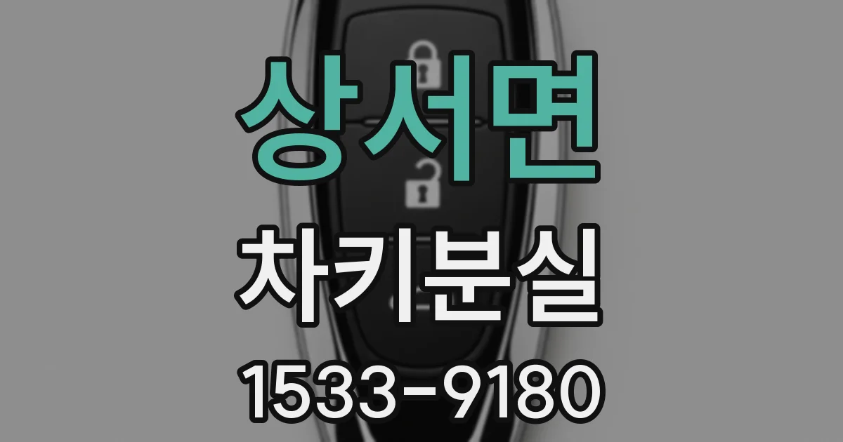 상서면 차키분실