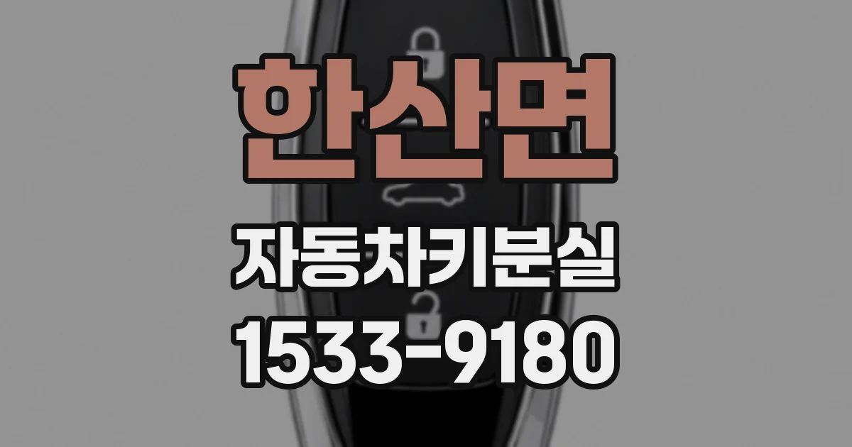 한산면 자동차키분실