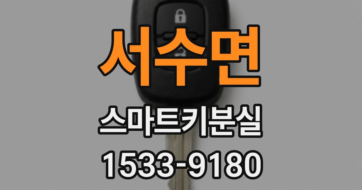 서수면 스마트키분실