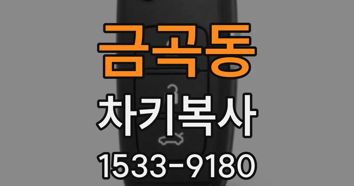 금곡동 차키복사