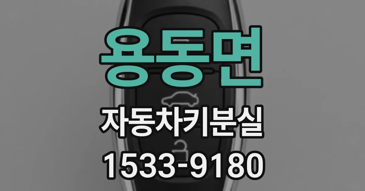 용동면 자동차키분실