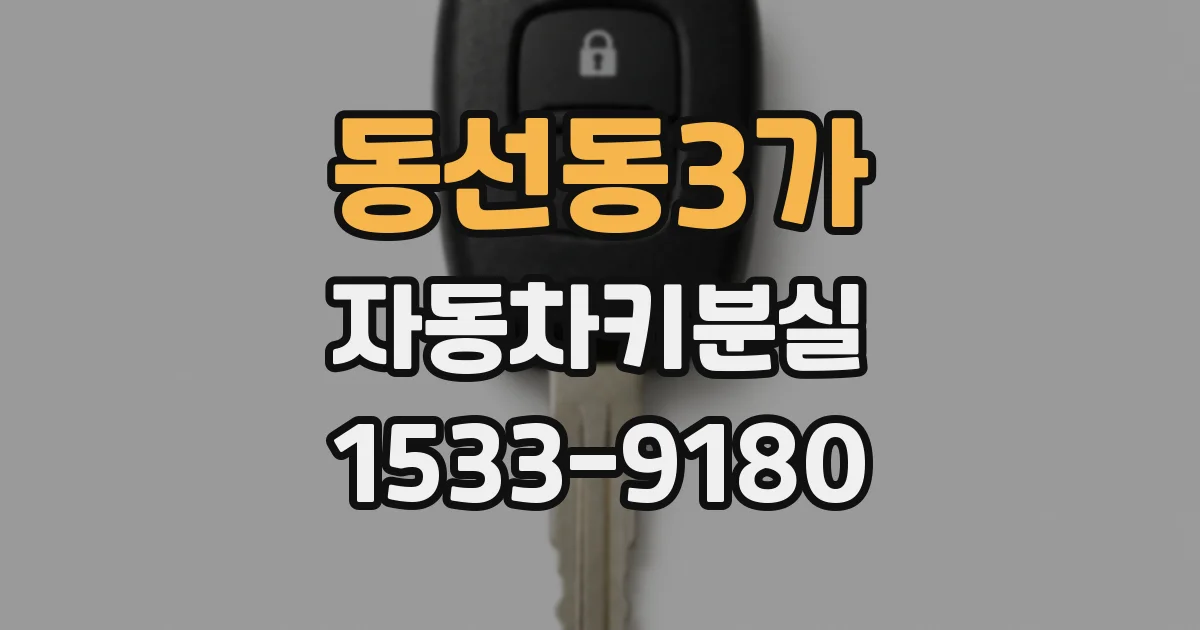 동선동3가 자동차키분실