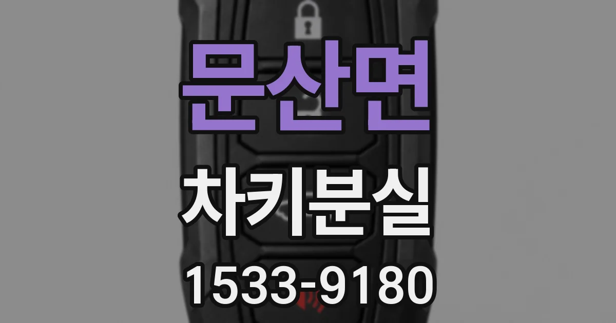 문산면 차키분실