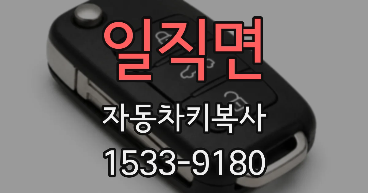일직면 자동차키복사