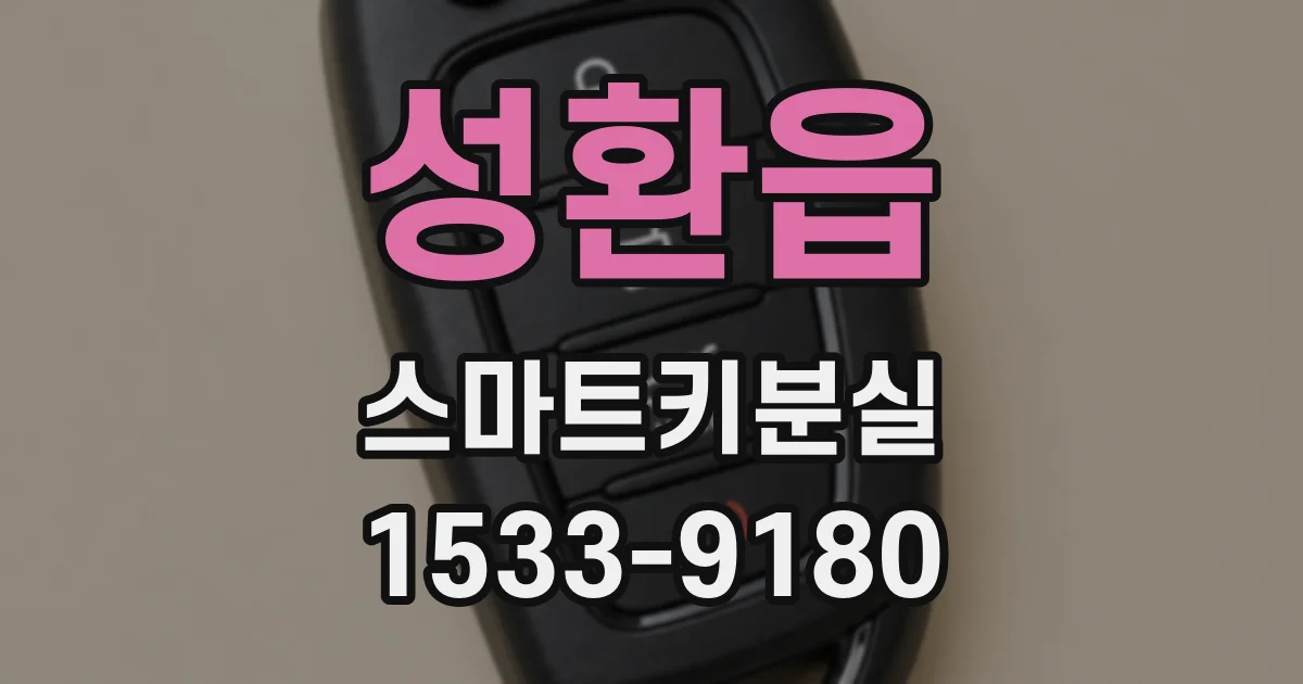 성환읍 스마트키분실