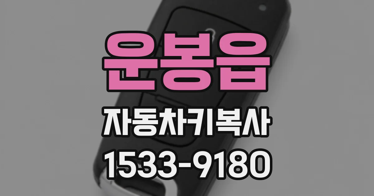 운봉읍 자동차키복사