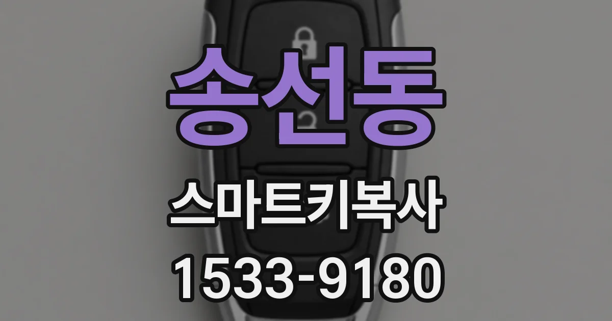송선동 스마트키복사