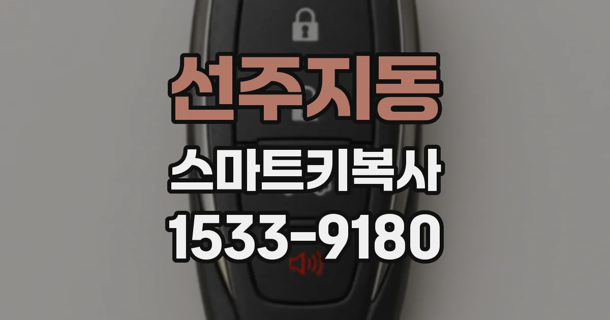 선주지동 스마트키복사