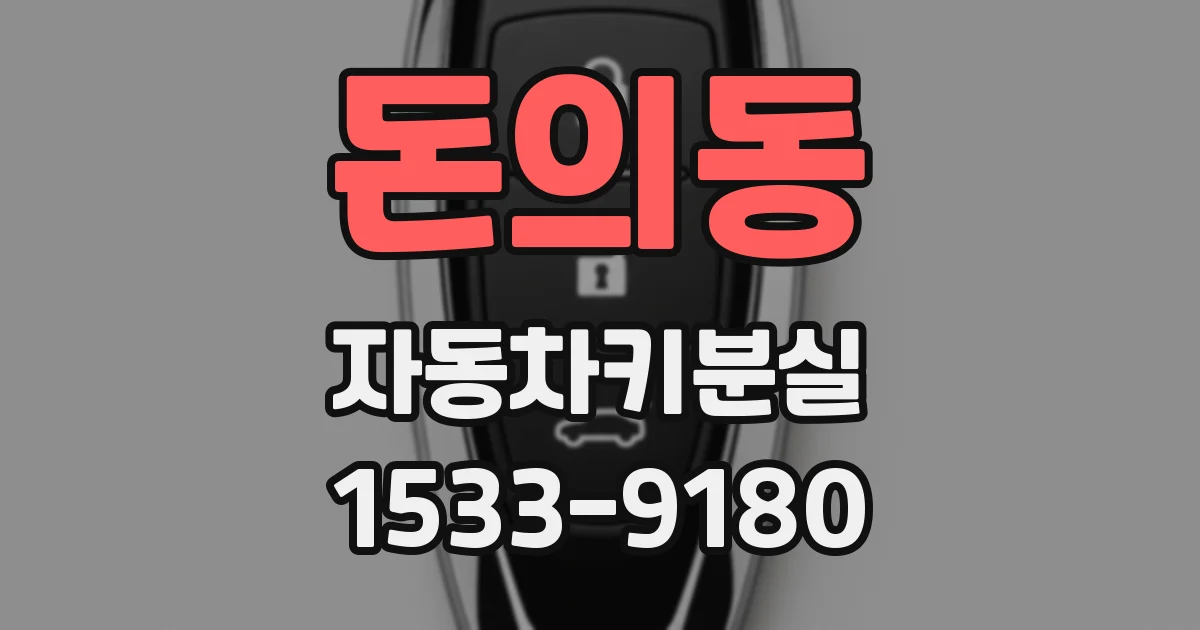 돈의동 자동차키분실