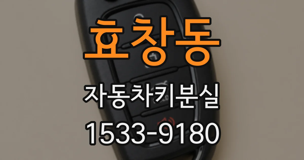 효창동 자동차키분실
