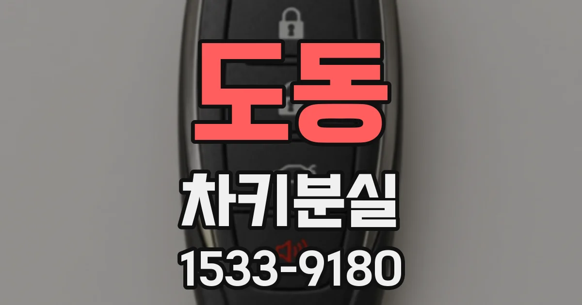 도동 차키분실